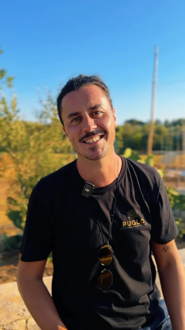 Olive verdi o mature? Ogni scelta cambia profumi, intensità, resa e carattere dell’olio finale.

#FrantoioPerilli #OliveVerdi #MaturazioneOlive #OlioExtravergine #Cultivar OlioPugliese EVOOil